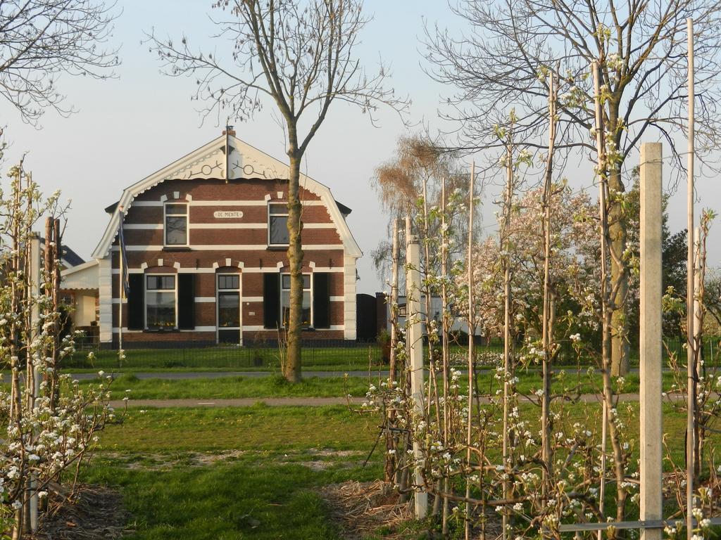 B&B De Bloesemgaard Eck en Wiel Exterior photo